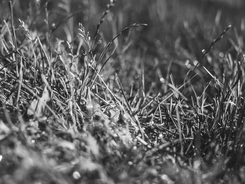 sudoku solving methods screenshot 5